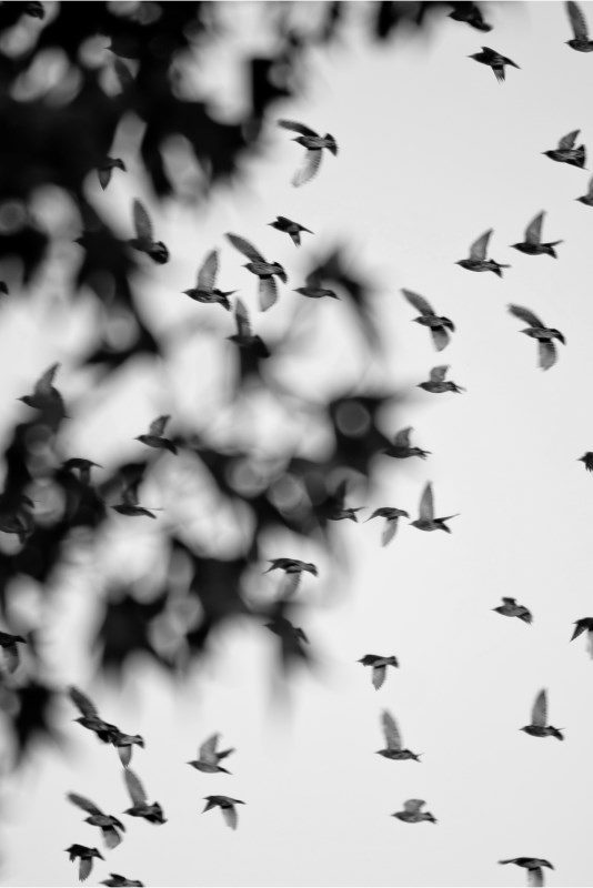 Profilbild von Hannelore Meyer