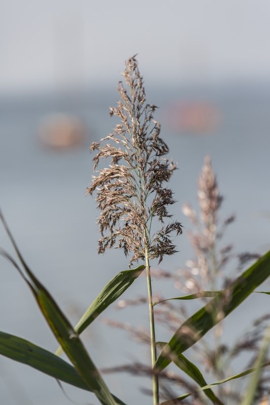 Profilbild von Margret K&auml;ndler
